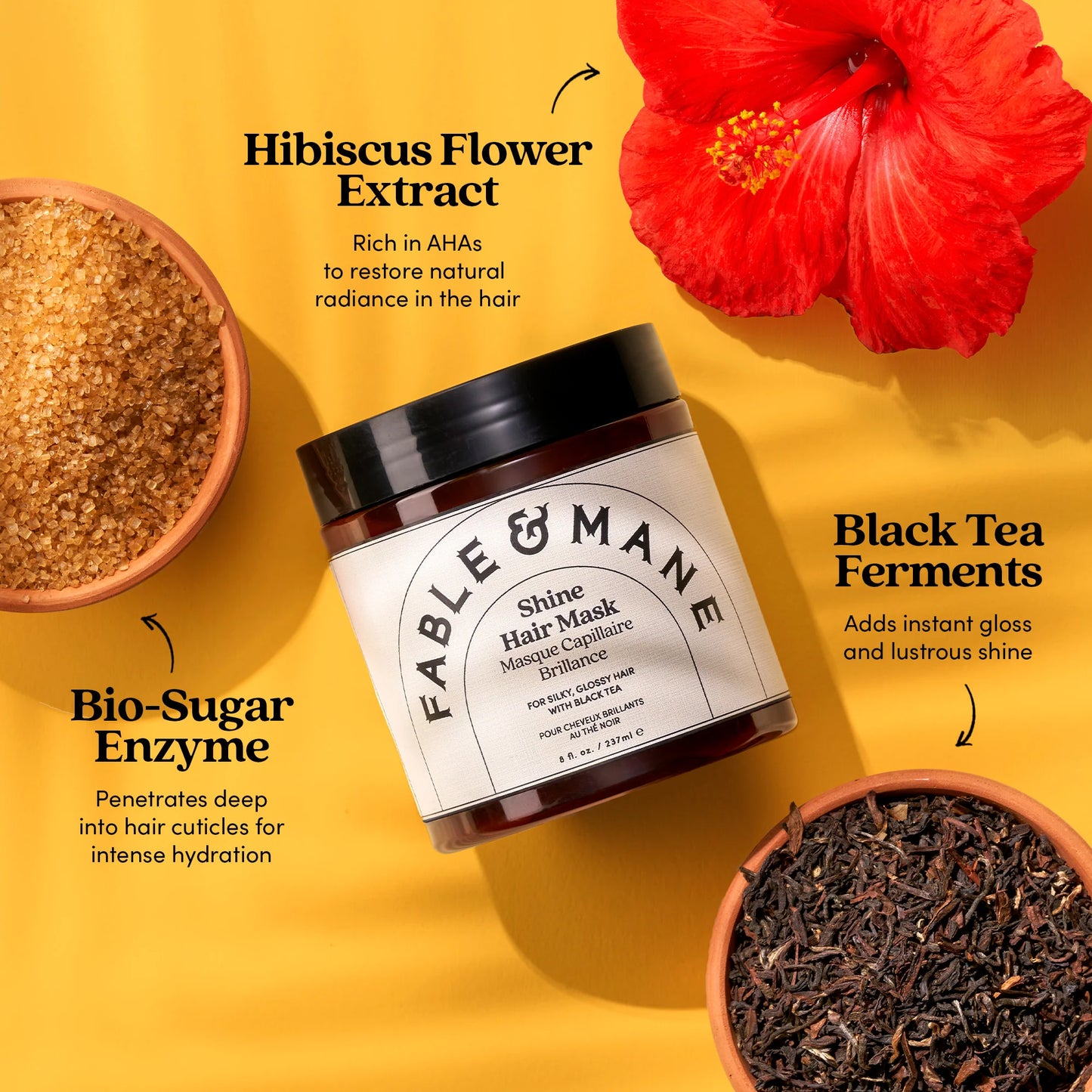 Fable & Mane Shine Mask